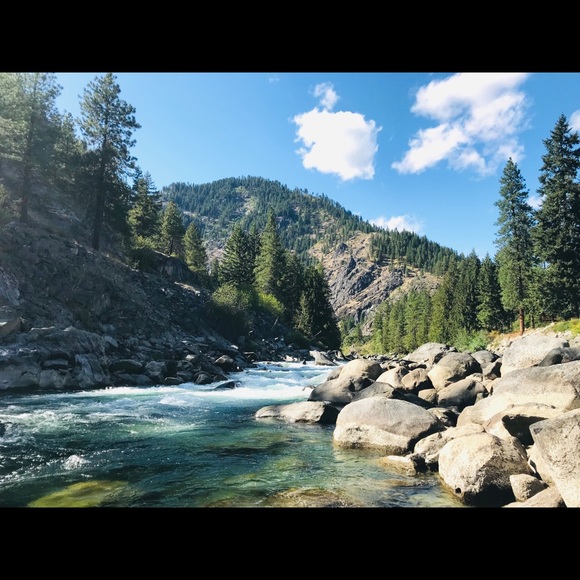 Meet the Posher - Picture 4 of 4